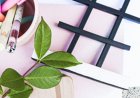 5 طرق لاستخدام هاشتاق لكسب متابعي انستقرام